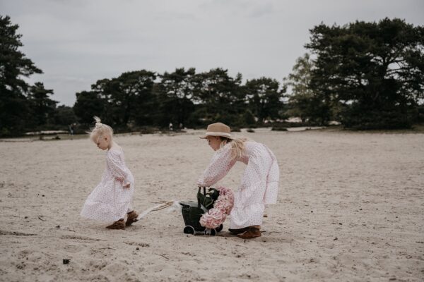 Kids Smocked dress pink roses
